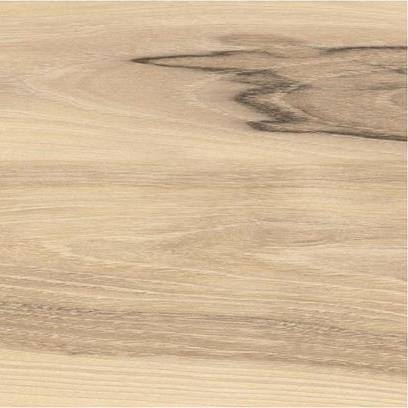 SymBio 833 D2057 ��� �����