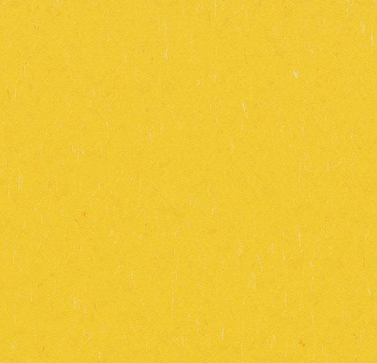 �������� Marmoleum Solid Piano 3648/364835 sunray (Forbo)