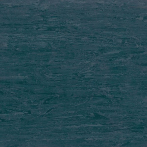 Horizon 003