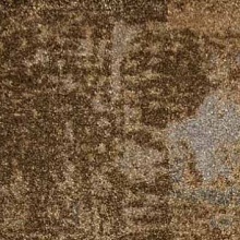 �������� ��������� 13 3544