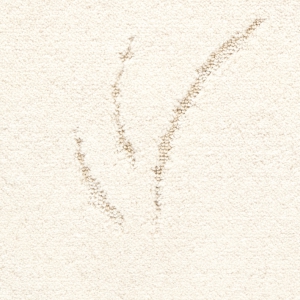 Zanzibar 001 �����