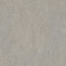 �������� Marmoleum Real 2621 (Forbo)