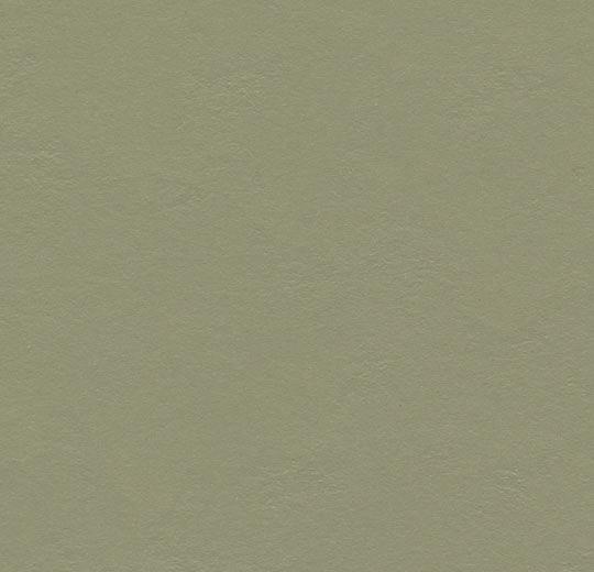 �������� Marmoleum Solid Walton 3355/335535 rosemary green (Forbo)