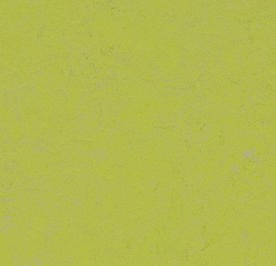 �������� Marmoleum Solid Concrete 3742/374235 green glow (Forbo)