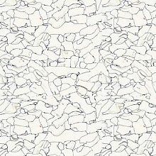 ��� ������ Static Pulse c6101 (LG)