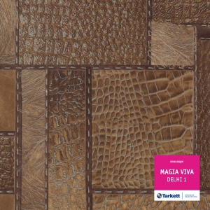 Magia Viva Delhi 1