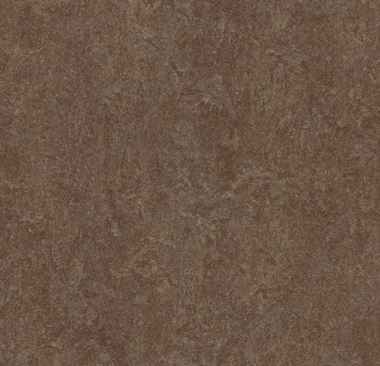 �������� Marmoleum Fresco 3874 walnut (Forbo)