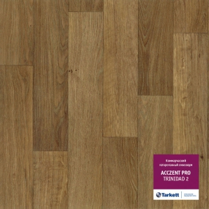 Acczent Pro �������� 2